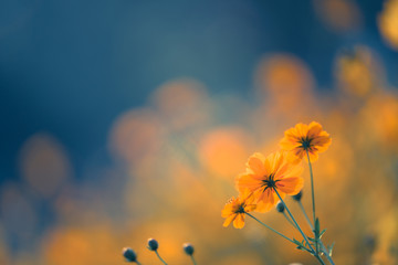 如何解锁自由拥抱队车手堡垒之夜皮肤