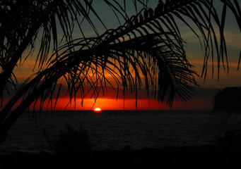 Whiteout生存在11个月内超过4亿美元