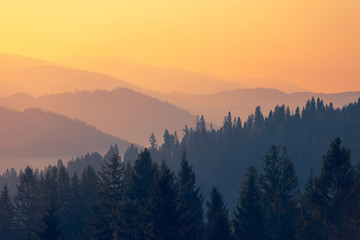 瑞典游戏加速器Stugan将于2016年重返森林