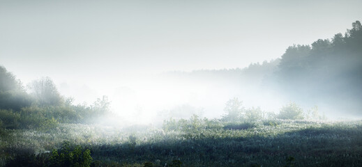 狐狸与孩子的幕后制作