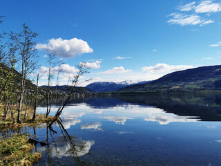 160cm、45kg的男生该如何穿衣搭配啊、春、夏、秋季。