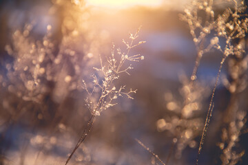 C4D养生壶怎么建模渲染？