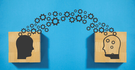 Whiteout生存在11个月内超过4亿美元