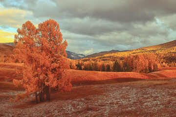 C4D养生壶怎么建模渲染？