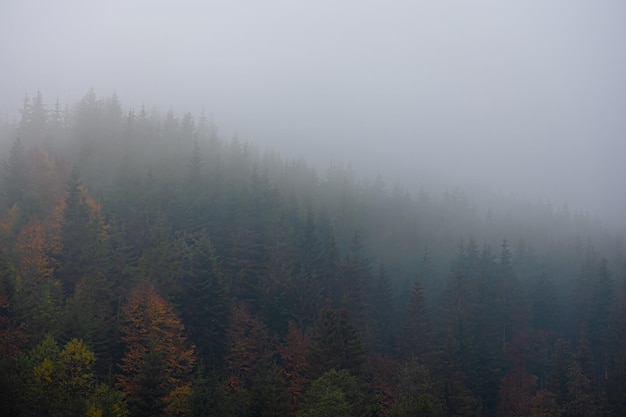 160cm、45kg的男生该如何穿衣搭配啊、春、夏、秋季。