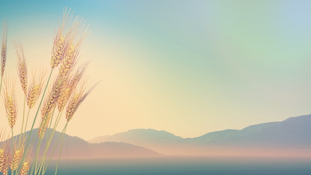 呼和浩特疫情最新情况（呼和浩特疫情最新情况）