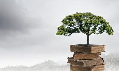 谁说宁次小时候喜欢雏田的-