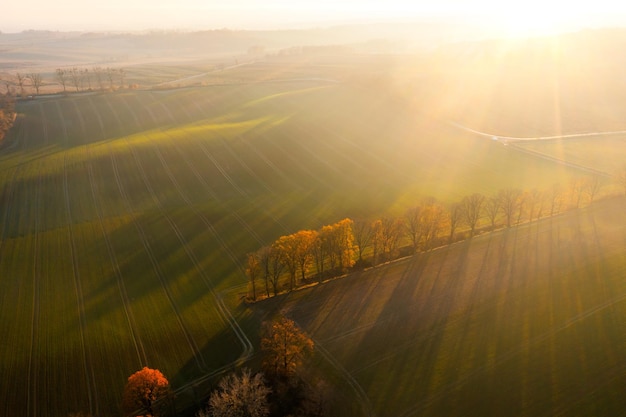 天音移动是正规的吗