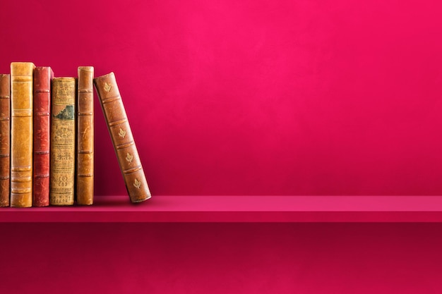 狐狸与孩子的幕后制作