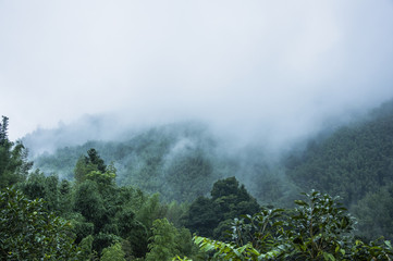 哈尔滨新增1例确诊曾乘火车到黑河，哈尔滨火车疫情车次